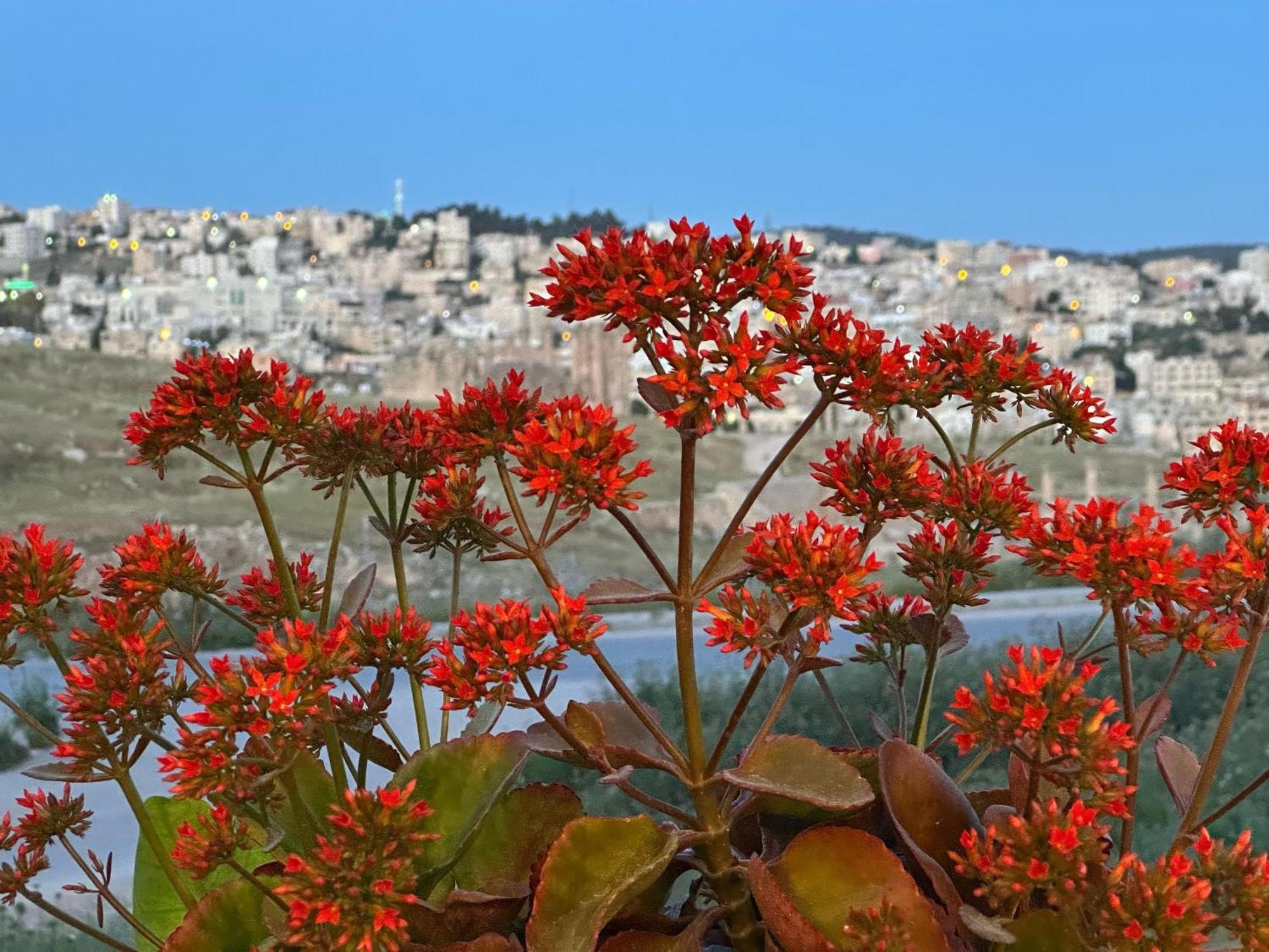 Jerash City View Jarash Buitenkant foto