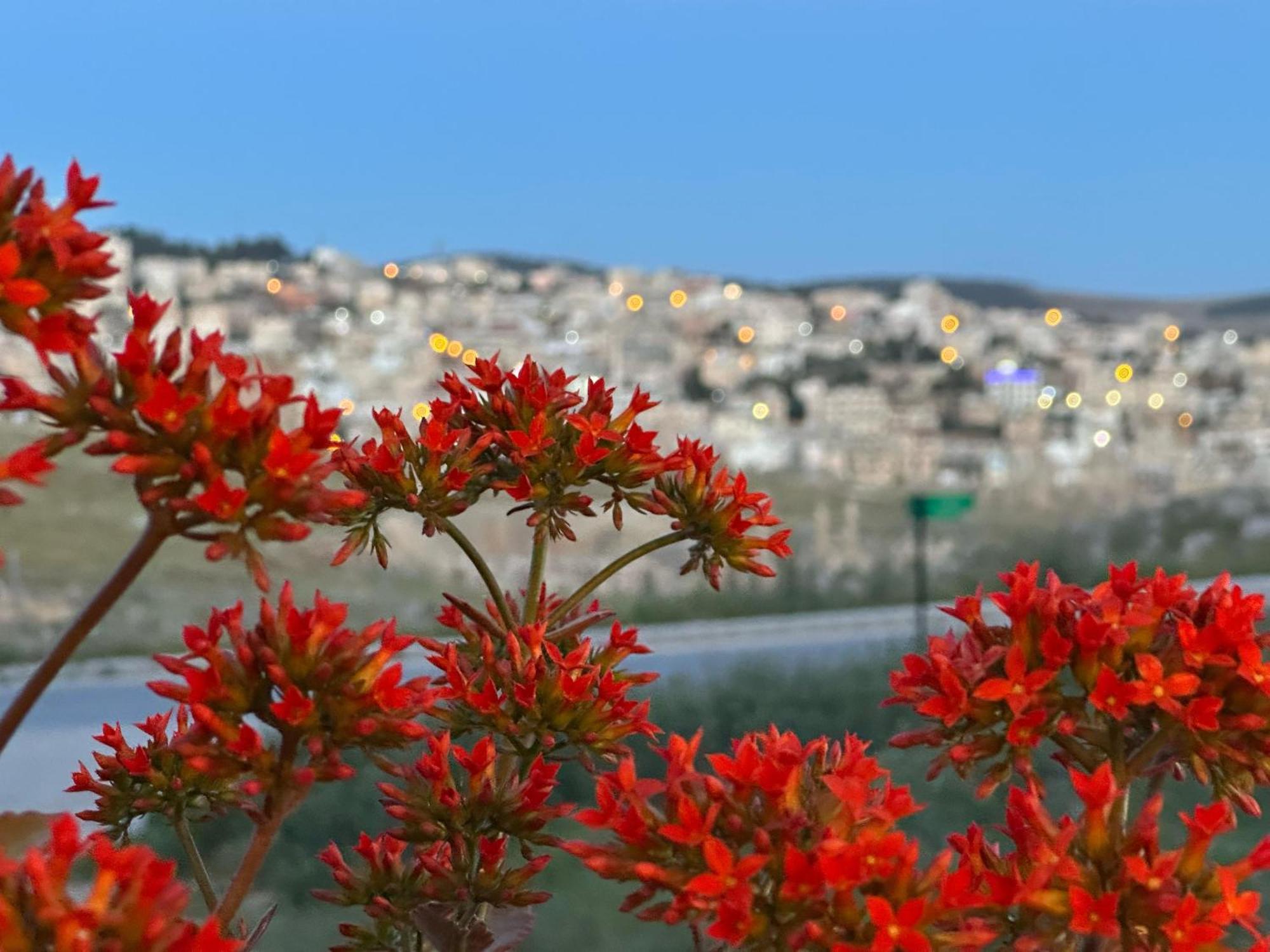 Jerash City View Jarash Buitenkant foto